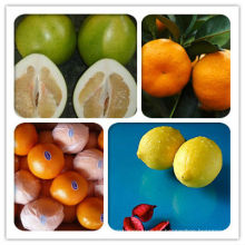 Orang fresco (ombligo, mandarina, lugan, polemo, limón)